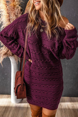 BEAUTIFUL I AM Cable-Knit Boat Neck Sweater Dress