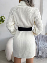 BEAUTIFUL I AM Decorative Button Turtleneck Sweater Dress