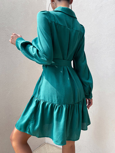 BEAUTIFUL I AM Collared Lantern Sleeve Mini Dress