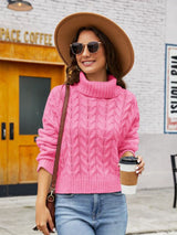 BEAUTIFUL I AM Turtle Neck Cable-Knit Sweater