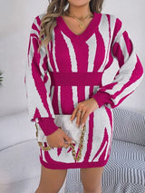 BEAUTIFUL I AM V-Neck Animal Print Long Sleeve Sweater Dress