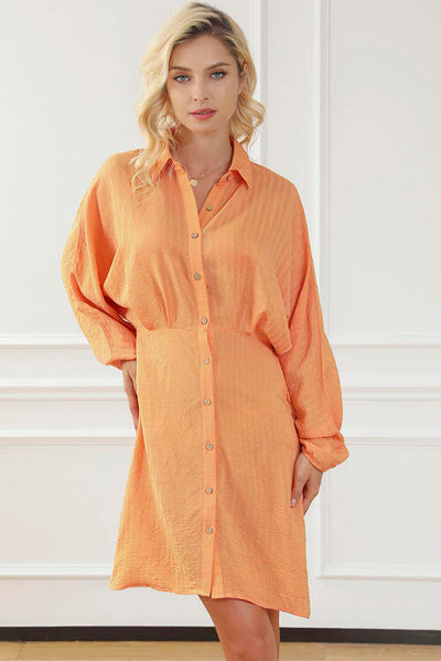 BEAUTIFUL I AM Texture Button Up Balloon Sleeve Shirt Dress