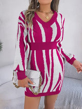 BEAUTIFUL I AM V-Neck Animal Print Long Sleeve Sweater Dress