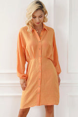 BEAUTIFUL I AM Texture Button Up Balloon Sleeve Shirt Dress