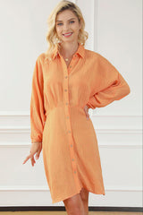 BEAUTIFUL I AM Texture Button Up Balloon Sleeve Shirt Dress