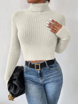 BEAUTIFUL I AM Ribbed Turtleneck Long Sleeve Sweater