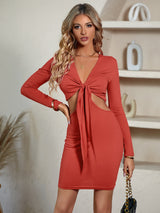 BEAUTIFUL I AM Cutout Twisted Front Plunge Neck Mini Dress