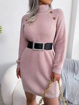 BEAUTIFUL I AM Decorative Button Turtleneck Sweater Dress