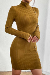 BEAUTIFUL I AM Turtleneck Long Sleeve Mini Dress