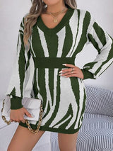 BEAUTIFUL I AM V-Neck Animal Print Long Sleeve Sweater Dress